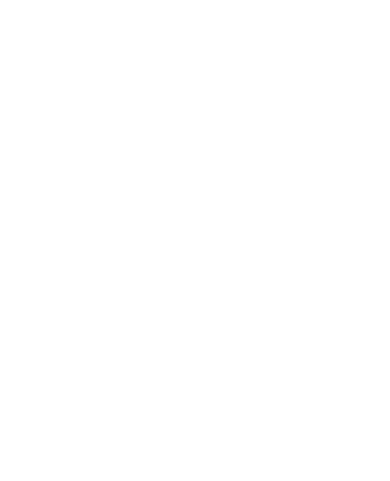 SMP Penetration Testing Mentor